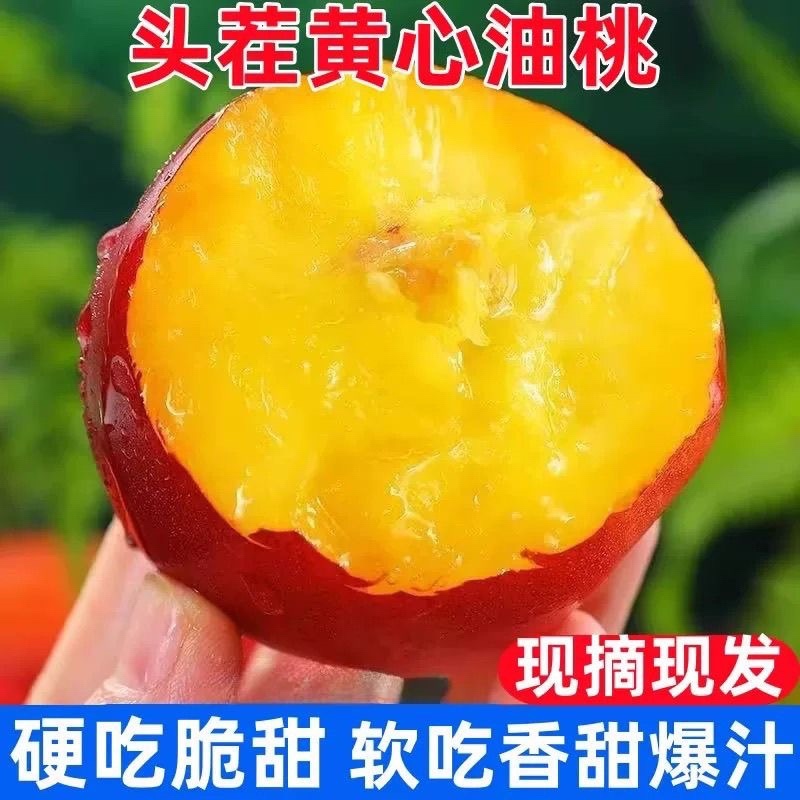 中油5号山东油桃规格齐全口感脆甜进出口贸易一条龙服务