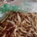 贵州野生虫草