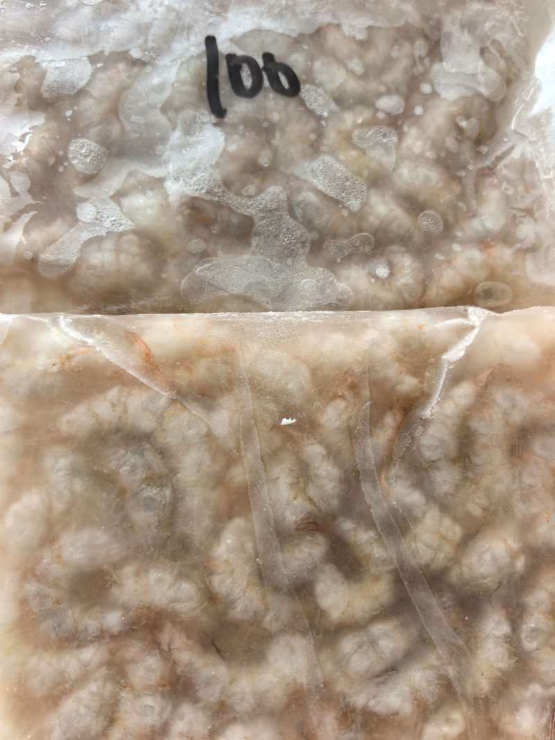 精品冻板河虾仁
