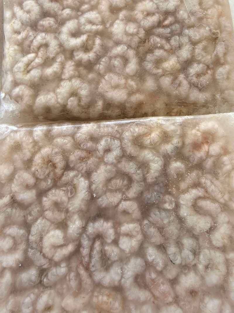精品冻板河虾仁