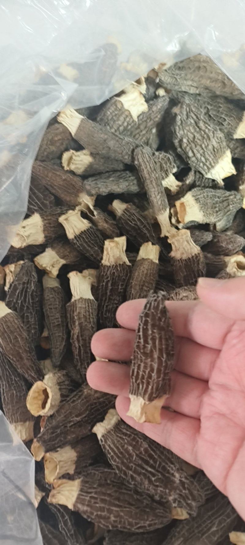 羊肚菌干货4-6，5-7，7-9，自家货货不多，剪六妹货