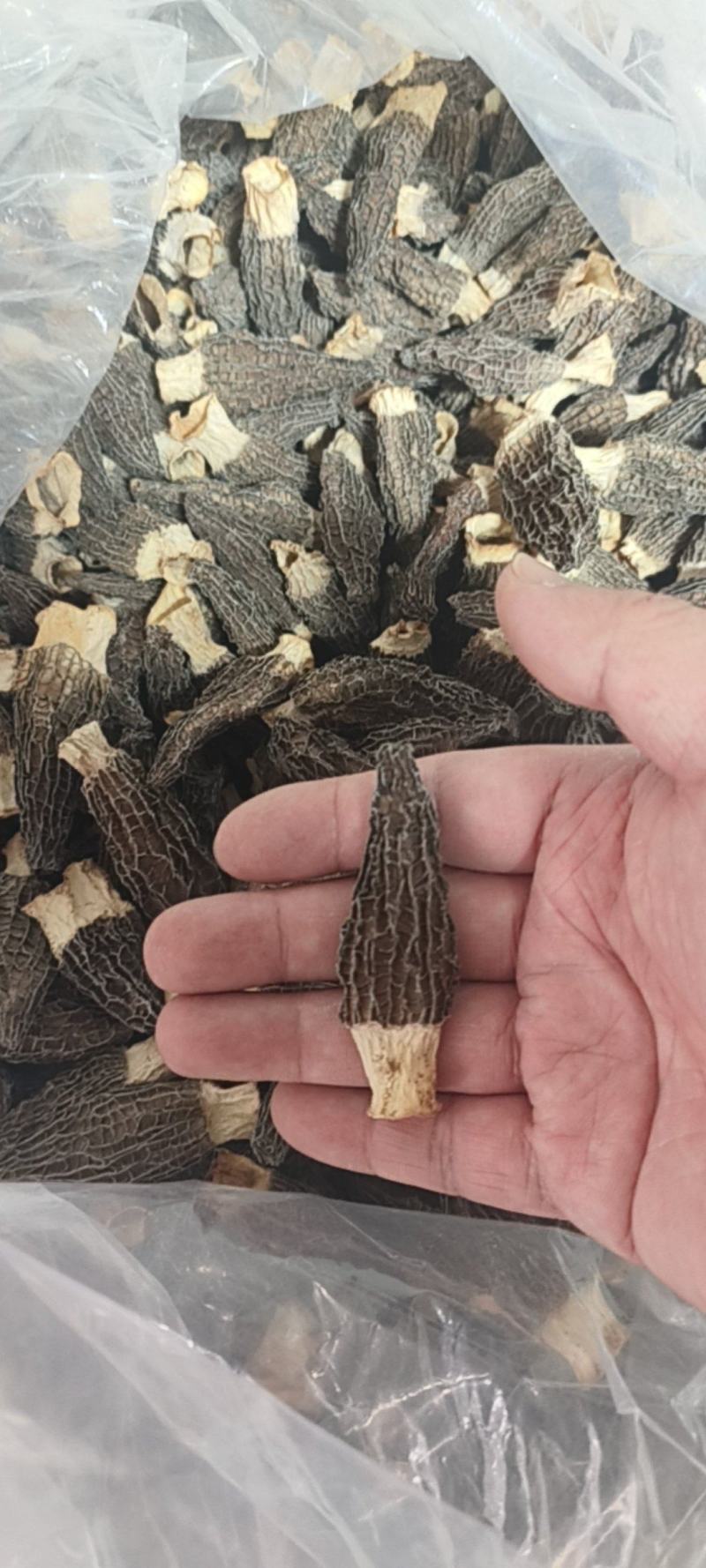 羊肚菌干货4-6，5-7，7-9，自家货货不多，剪六妹货