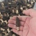 羊肚菌干货4-6，5-7，7-9，自家货货不多，剪六妹货