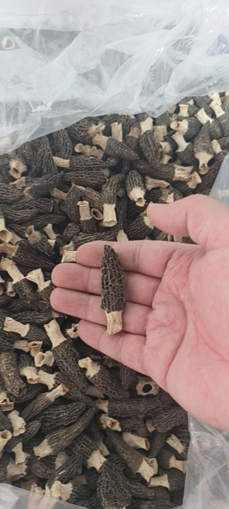 羊肚菌干货4-6，5-7，7-9，自家货货不多，剪六妹货