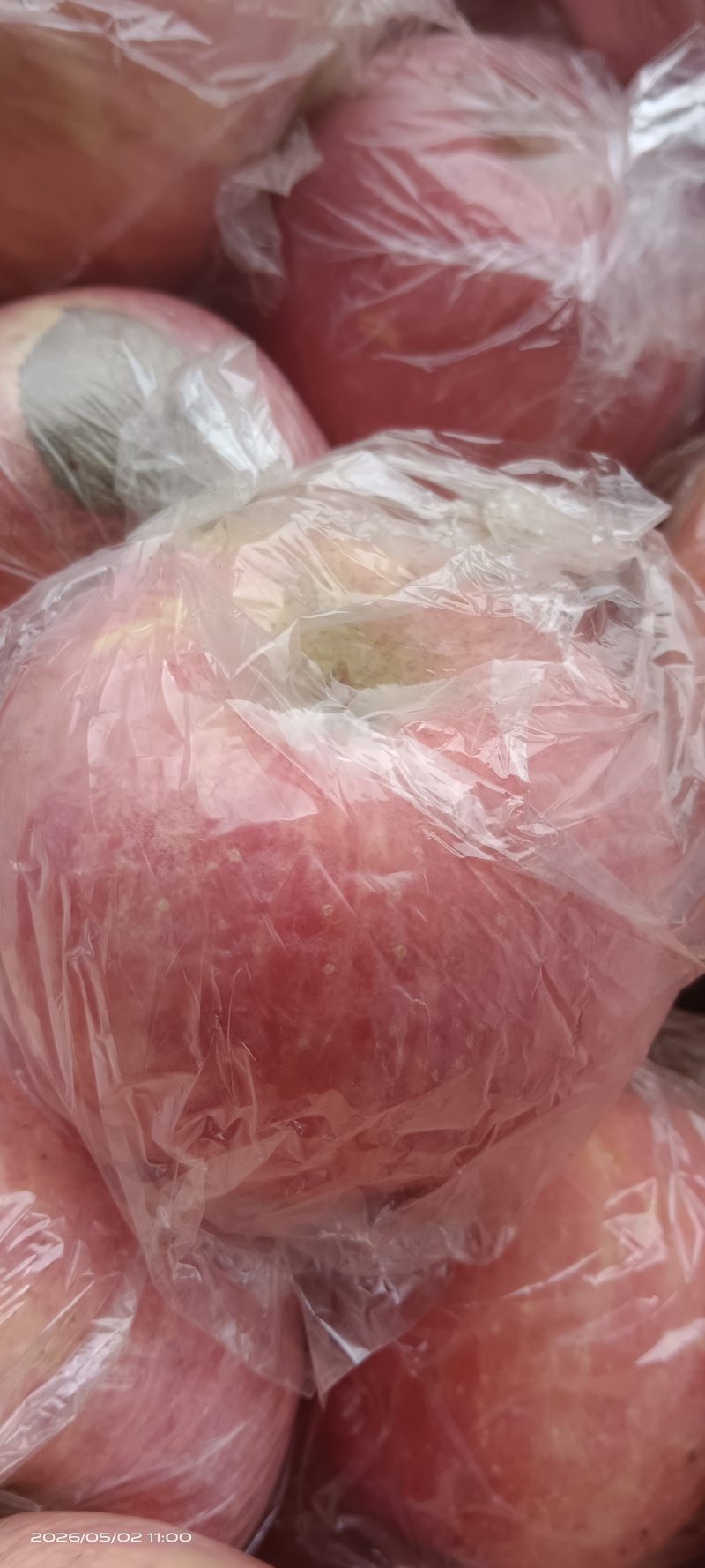 万荣红富士苹果纸加膜