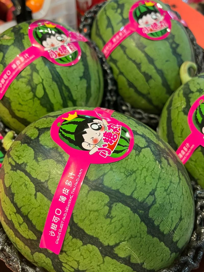 《热卖》小糖丸西瓜大量供应，产地直发，对接全国市场商超