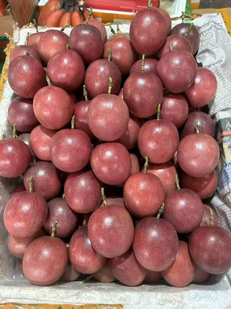 蜜桃百香果140亩种植基地，市场、电商一件代发包售后