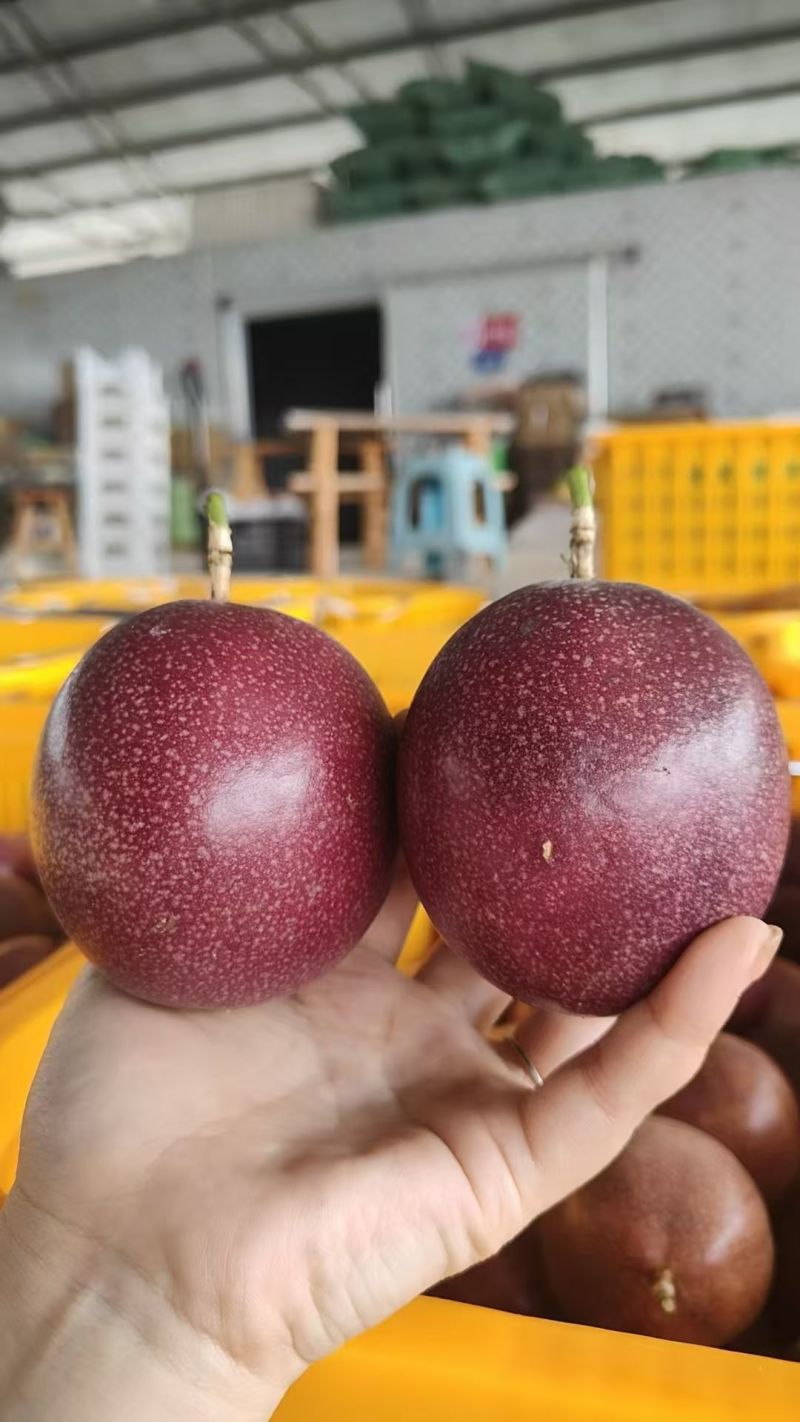 蜜桃百香果140亩种植基地，市场、电商一件代发包售后