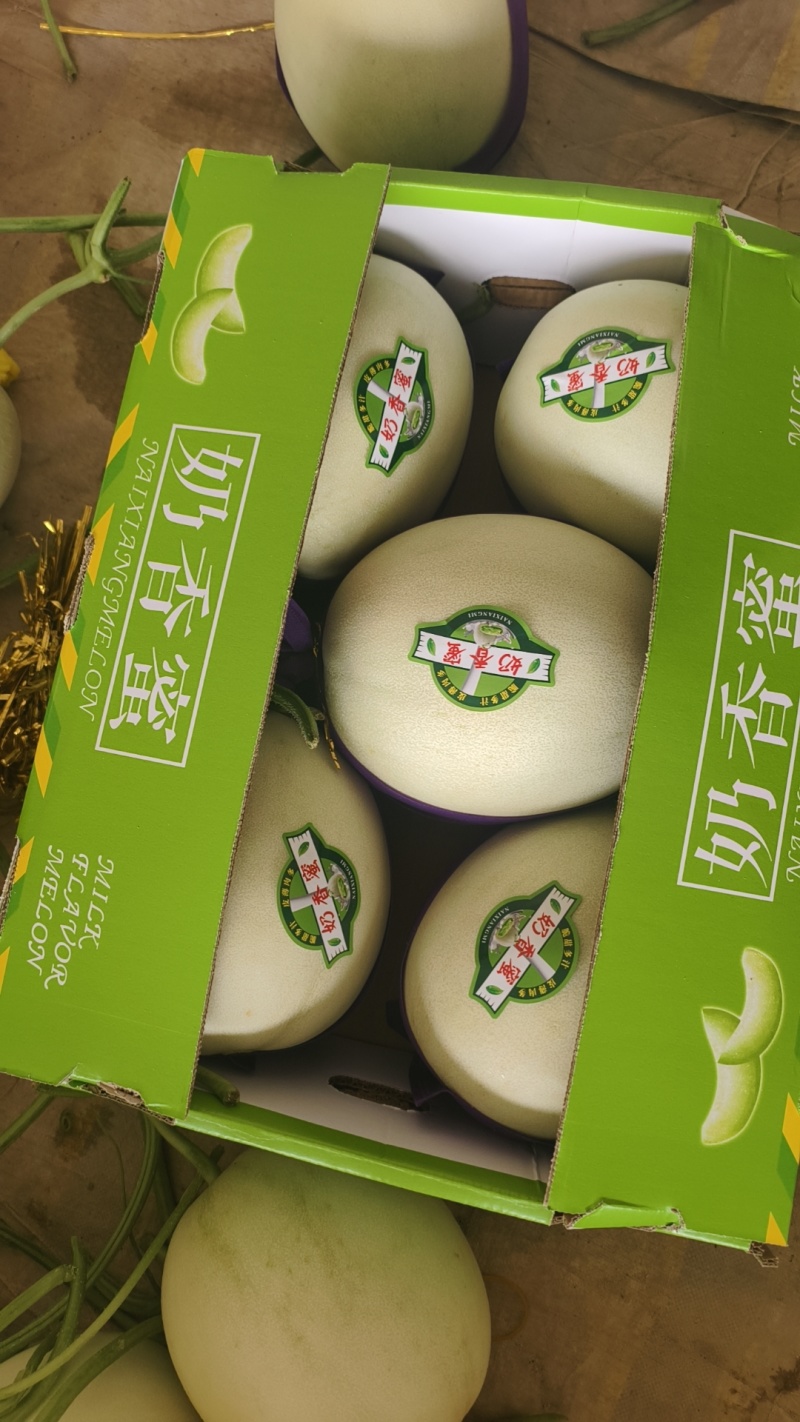 河南滑县，精品玉姑供应各大电商平台，各大批发市场以及商超