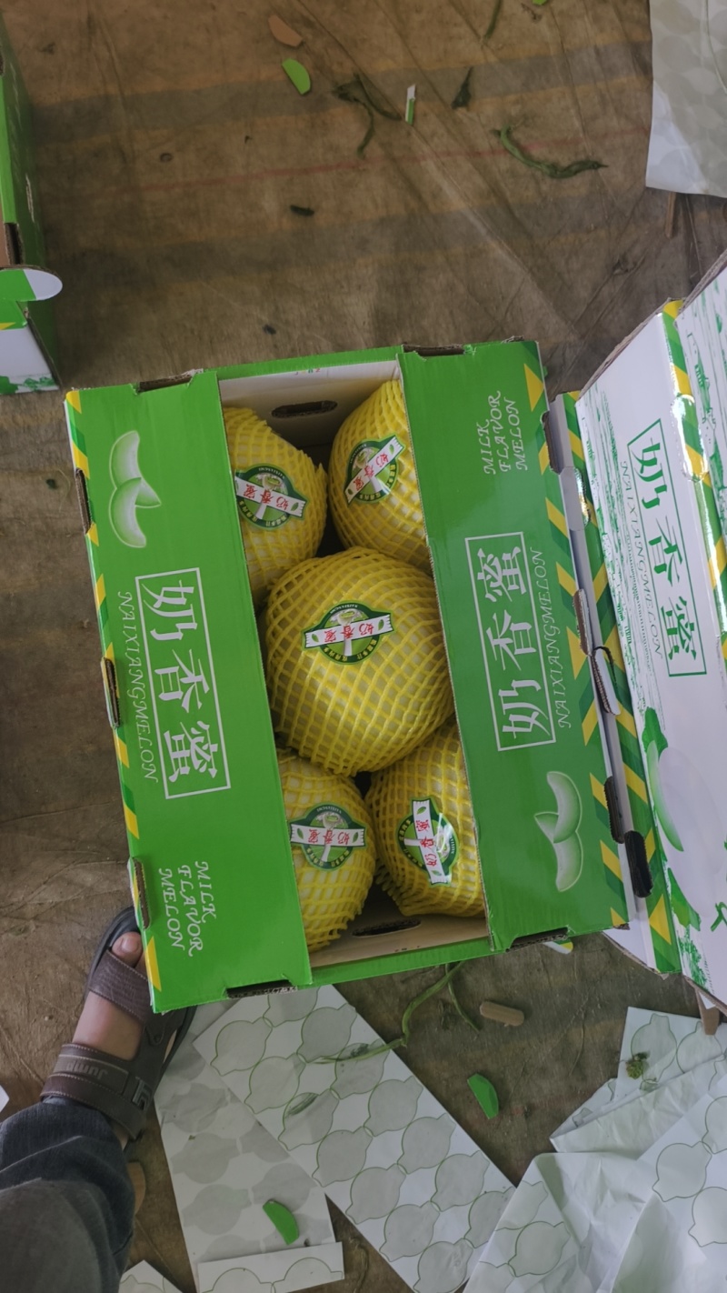 河南滑县，精品玉姑供应各大电商平台，各大批发市场以及商超