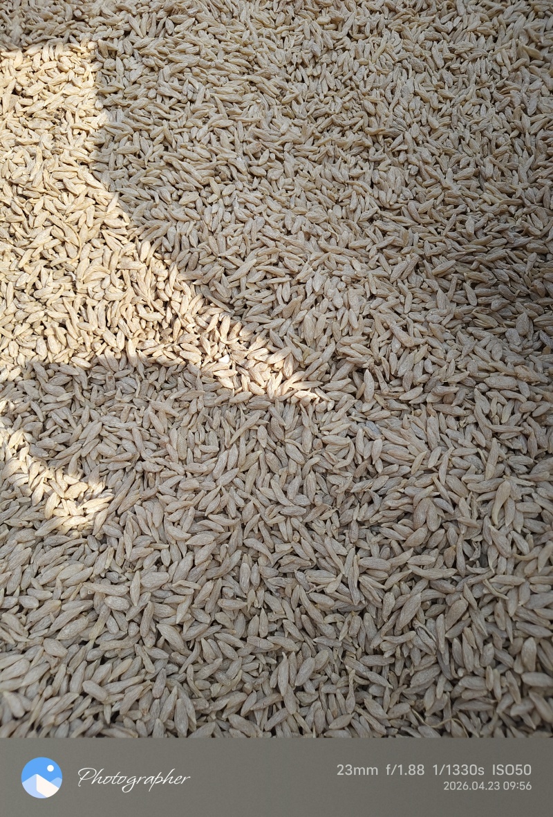 四川统货