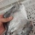 山东威海石岛船冻鲳鱼4-6两/6-9两规格