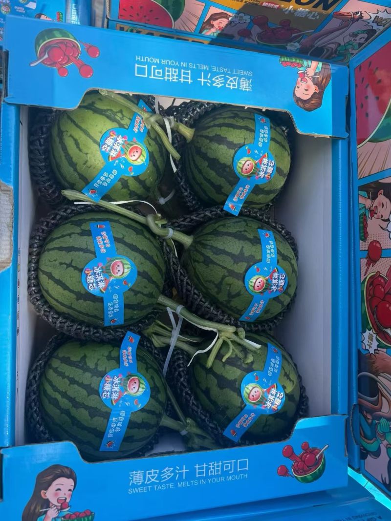 山东小糖丸西瓜，产地货源，承接各种一件代发，量大从优