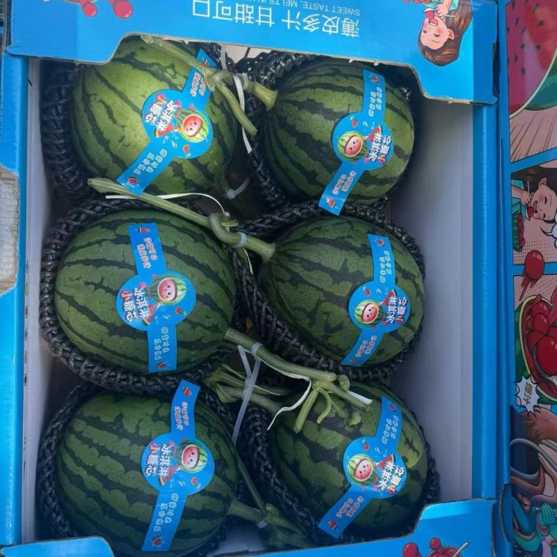 精品2k糖丸小吊瓜，一件代发，保质保量，诚信经营，欢迎