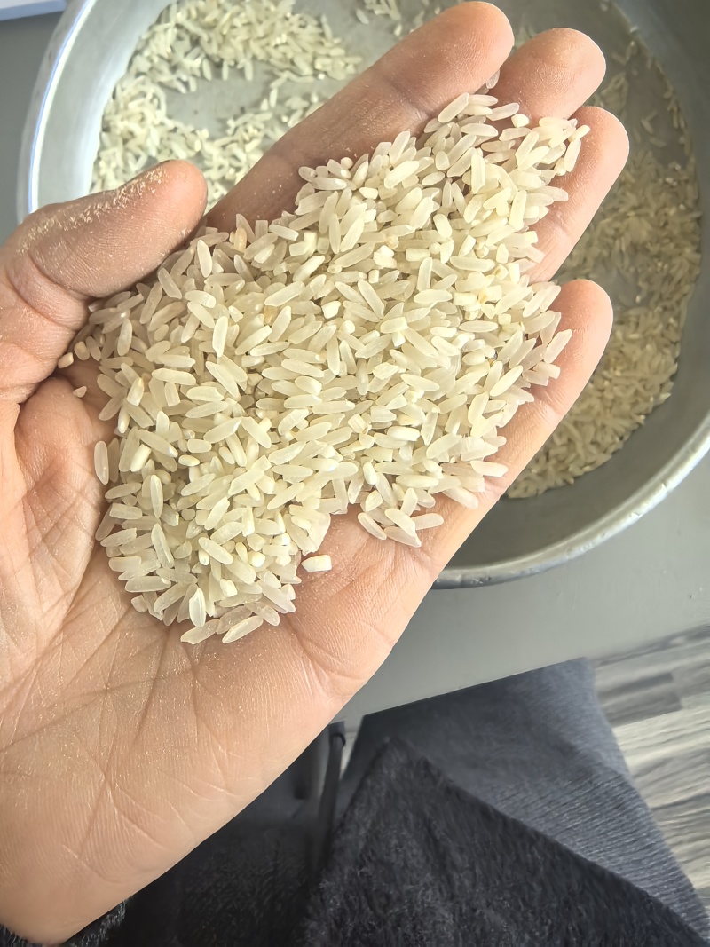 衡阳县产地直供晚稻谷子，米厂专用，米质深