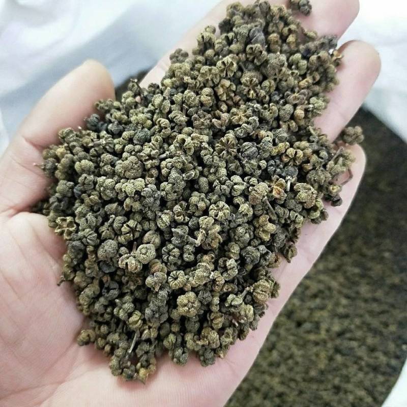 江西正宗特级大花吴茱萸一公斤中药材正品保证包邮