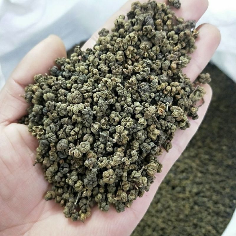 江西正宗特级大花吴茱萸一公斤中药材正品保证包邮