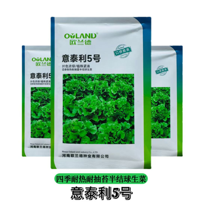 意泰利5号散叶半结球生菜种子浓绿叶绿帮耐热耐湿耐抽苔生菜