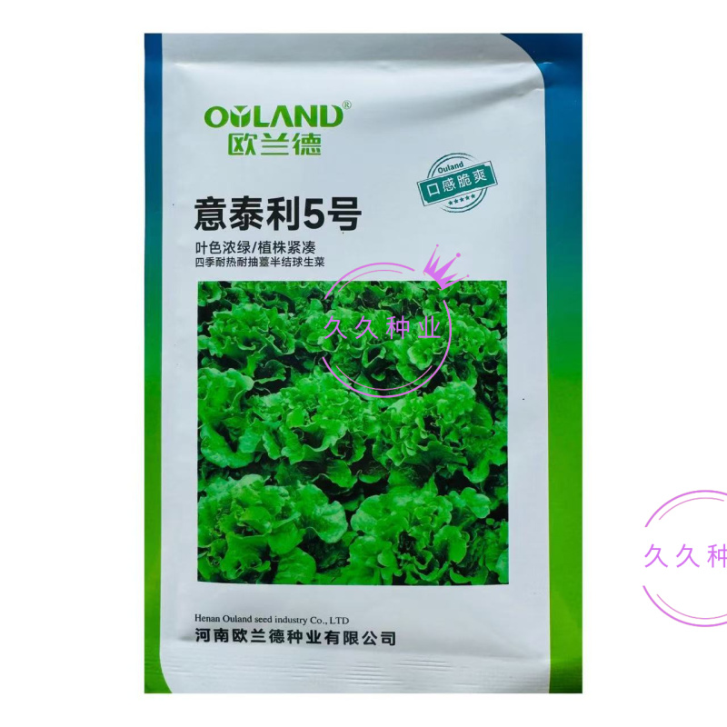 意泰利5号散叶半结球生菜种子浓绿叶绿帮耐热耐湿耐抽苔生菜