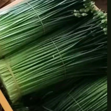 产地直供，精品**，放心采购
