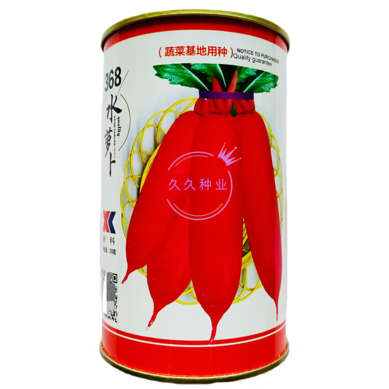 368水萝卜种子辣中带甜肉质根圆柱形不易抽苔糠心