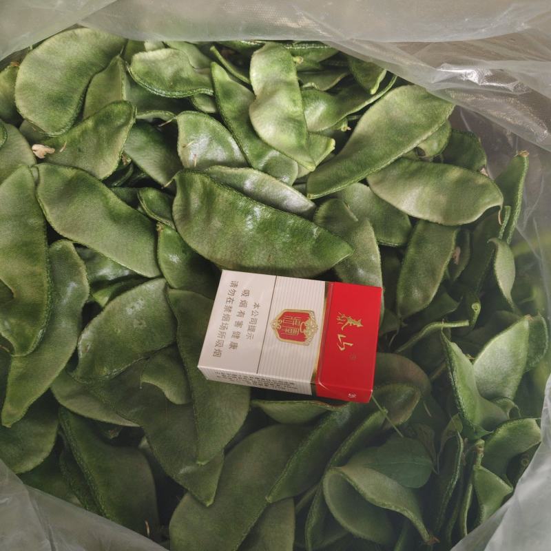 新苗绿扁豆，猪耳朵扁豆产地直发保质保量欢迎随时订购