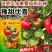 豫甜优喜水果番茄种子酸甜好吃口感番茄种籽带绿肩采摘园番茄