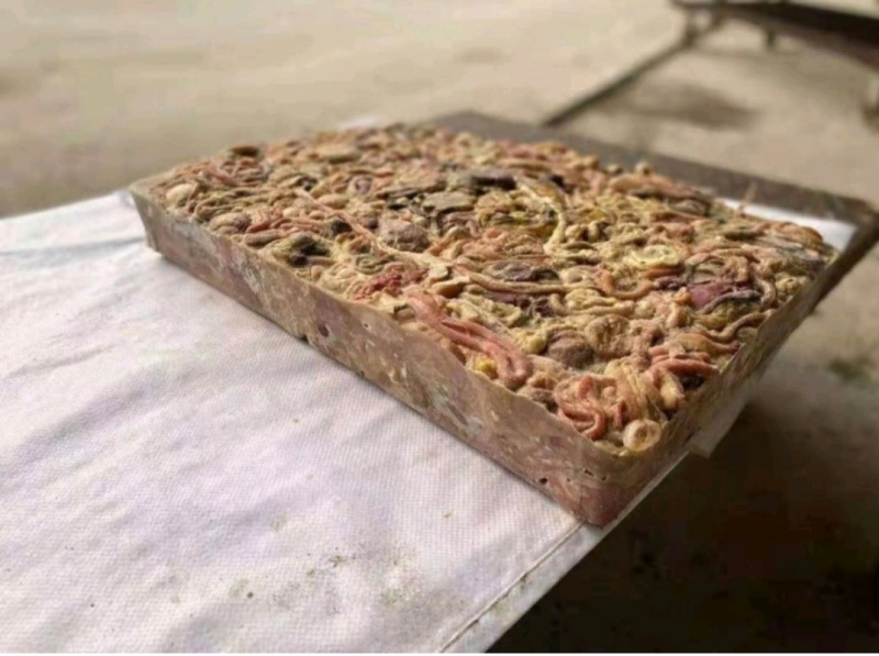 鸭肠饲料冻品规格齐全价格美丽来电优