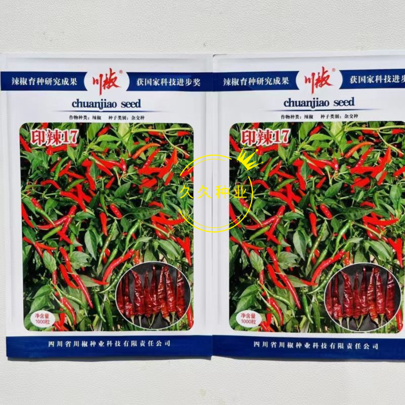 印椒17朝天椒辣椒种子高产抗病春秋季播高辣度红米椒干椒