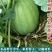 懒汉新红宝西瓜种子抗重茬懒汉西瓜种籽特大巨型西瓜大田西瓜