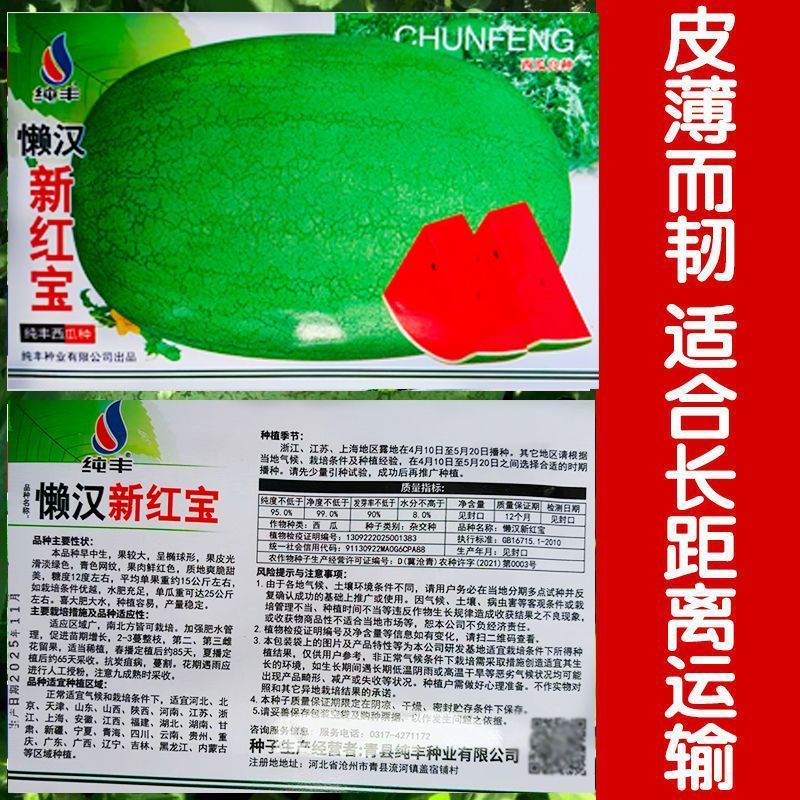 懒汉新红宝西瓜种子抗重茬懒汉西瓜种籽特大巨型西瓜大田西瓜