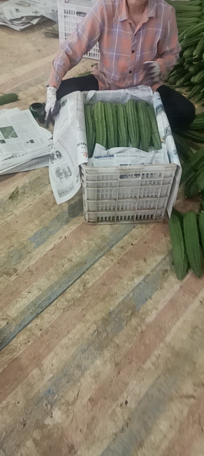 丝瓜