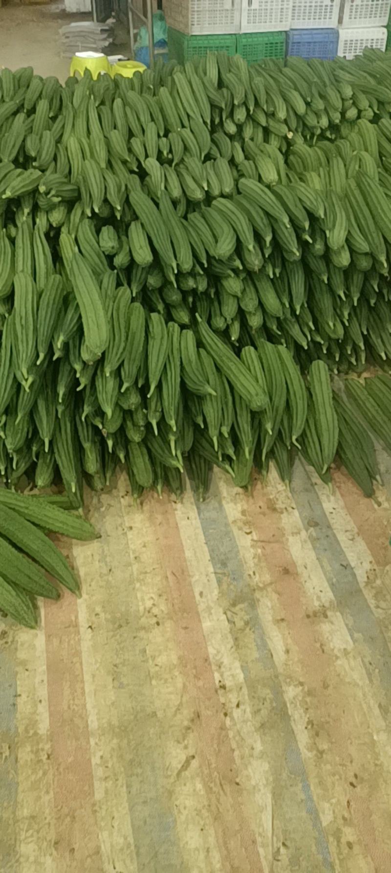 丝瓜