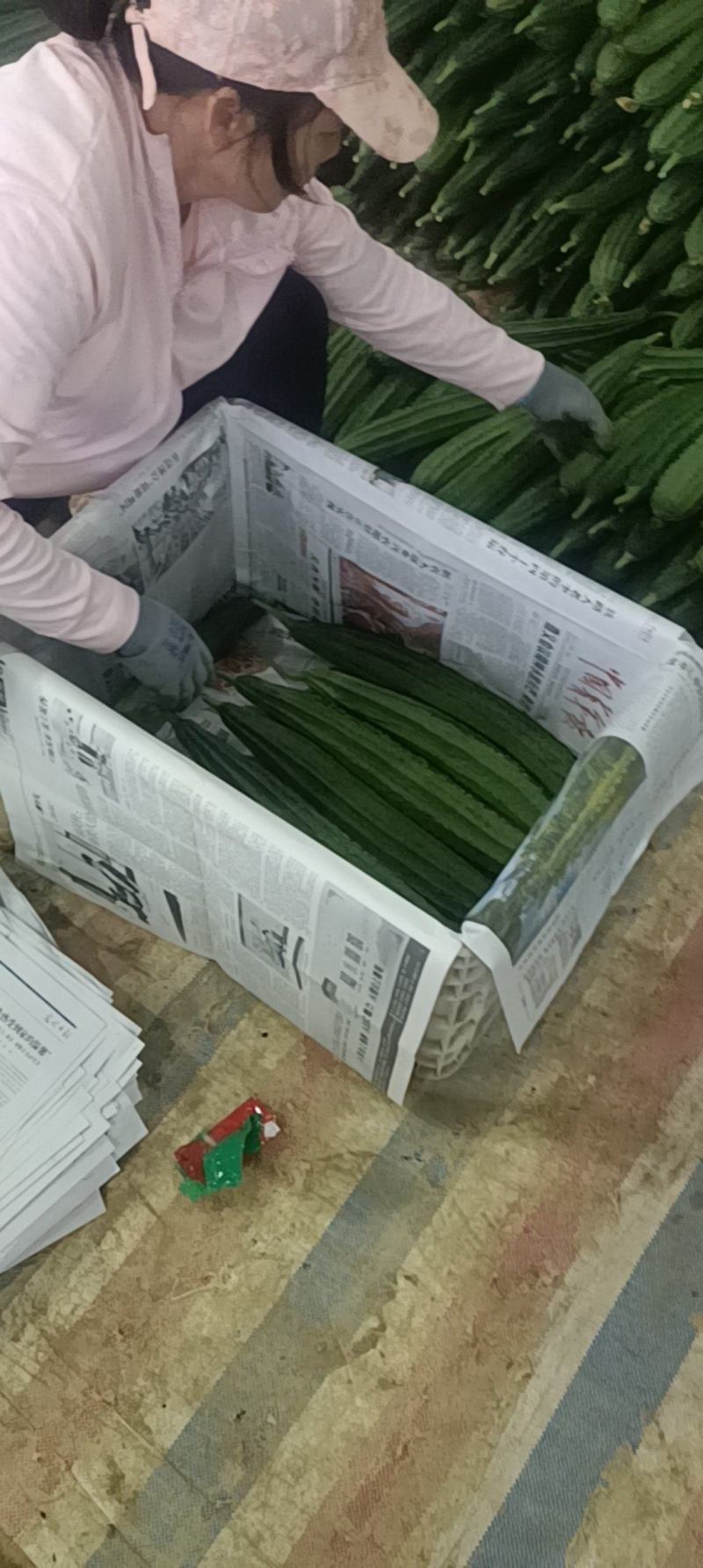 丝瓜