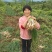荞头，藠头