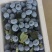 蓝莓价格蓝莓批发蓝莓种植基地品种多口感香甜货源充足