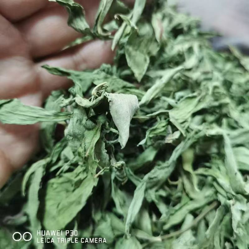 甜叶菊茶用甜叶菊茶大量供应量大从优一件代发