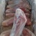 新到乳牛腿11~12条
