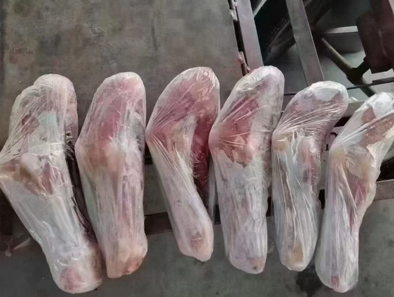 新到乳牛腿11~12条