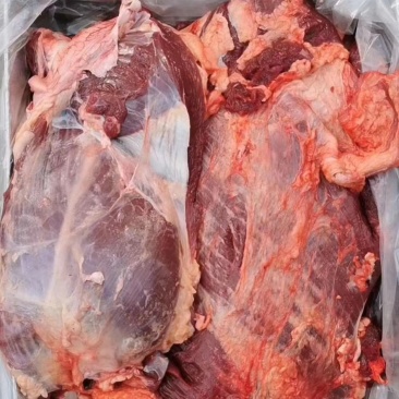 草原黄膘牛肉纯干无水六分体全国冷链物流发货