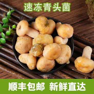 速冻青头菌云南特产源头基地供货可食用新鲜食材火锅炒菜菌香