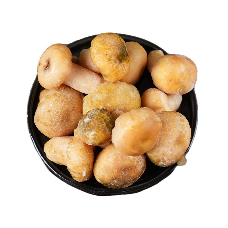 速冻青头菌云南特产源头基地供货可食用新鲜食材火锅炒菜菌香