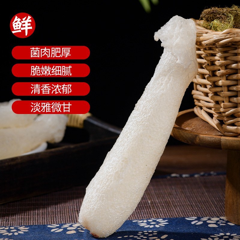 速冻竹荪花云南竹荪菌菇蘑菇速冻餐饮红托竹荪新鲜工厂批发