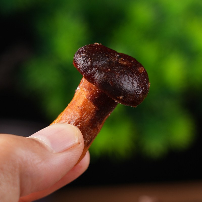 食用菌云南特产源头供货煲汤小炒菜餐厅火锅店食材新鲜速冻奶