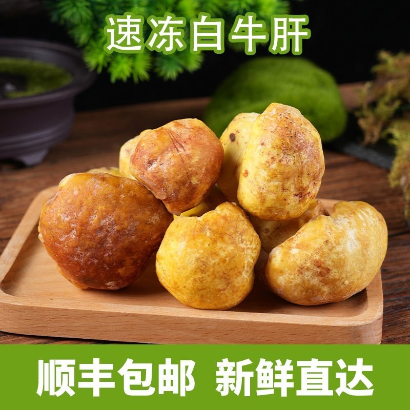 云南特产冷冻野生白牛肝菌蘑菇火锅炒菜食用菌白葱菌煲汤批发