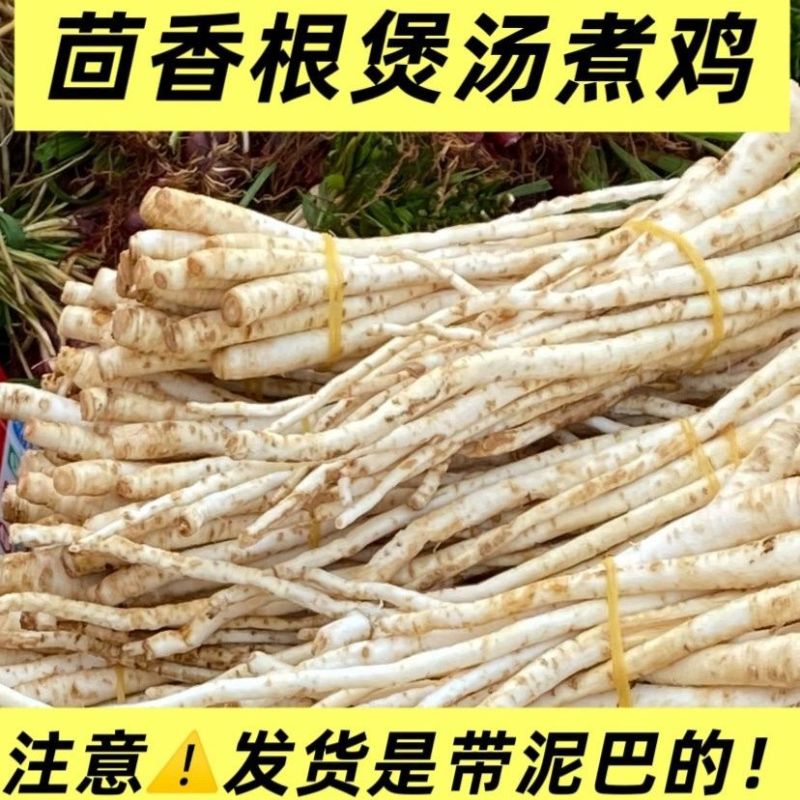 根茎类