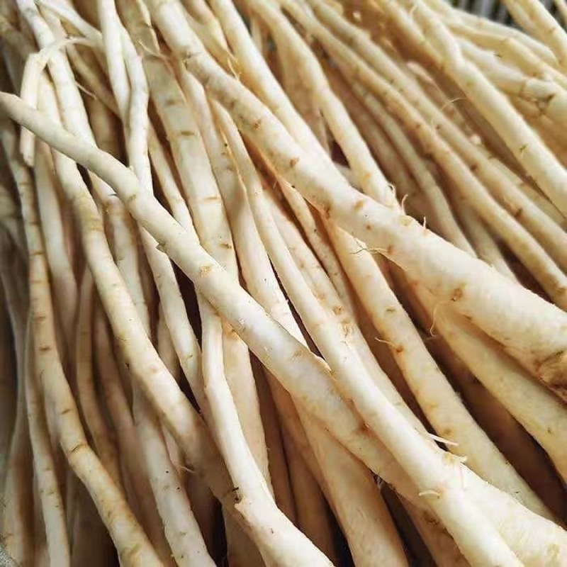 根茎类