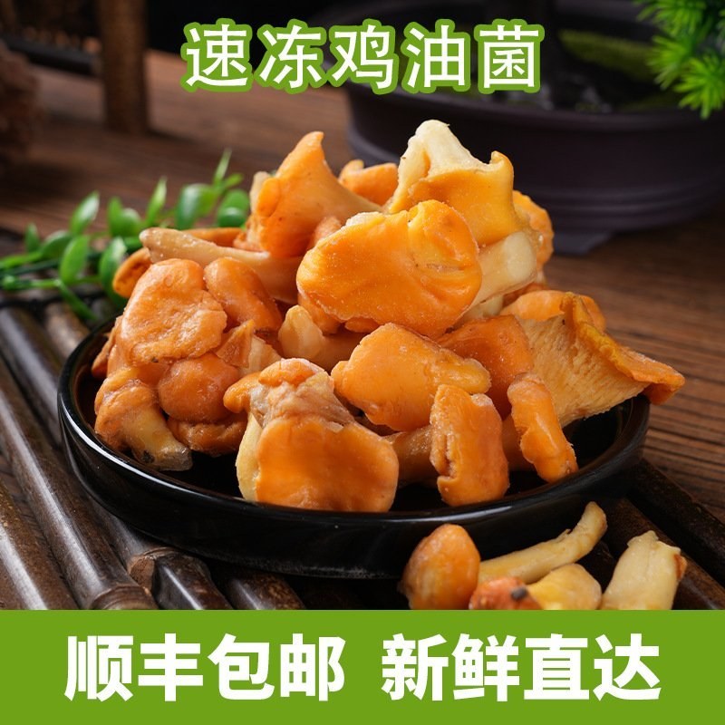 速冻鸡油菌云南特产源头供货火锅店食用鸡油菌煲汤家庭火锅食