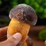 云南特产野生黄牛肝源头基地供货食用菌家庭版火锅热炒食材黄