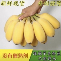 苹果蕉粉蕉
